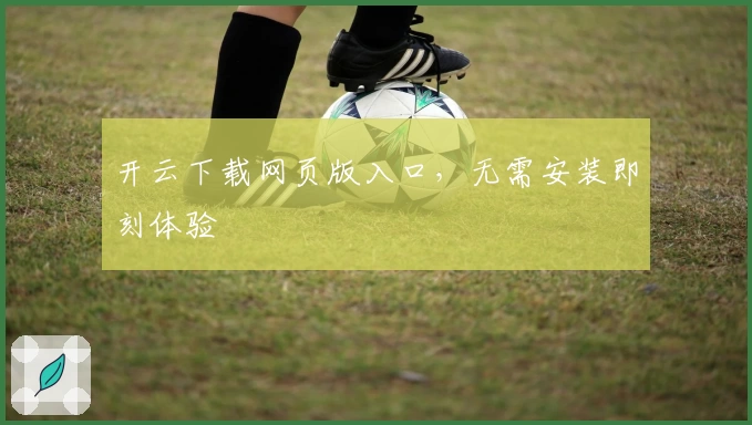 开云下载网页版入口，无需安装即刻体验