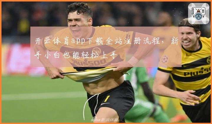 开云体育app下载全站注册流程，新手小白也能轻松上手