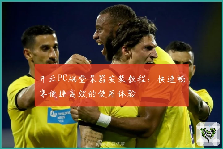 开云PC端登录器安装教程，快速畅享便捷高效的使用体验